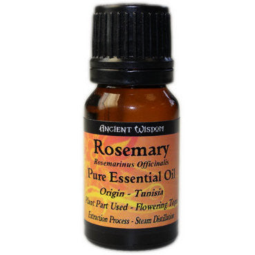 Rosemary Essential Oil essential-oils ,top-12-essential-oils ,o-z-essential-oils