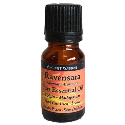 Ravensara Essential Oil o-z-essential-oils