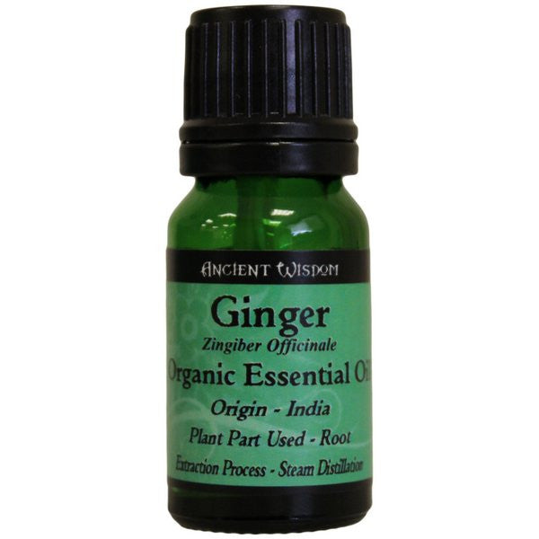 Ginger Organic Essential Oil organic-essential-oils